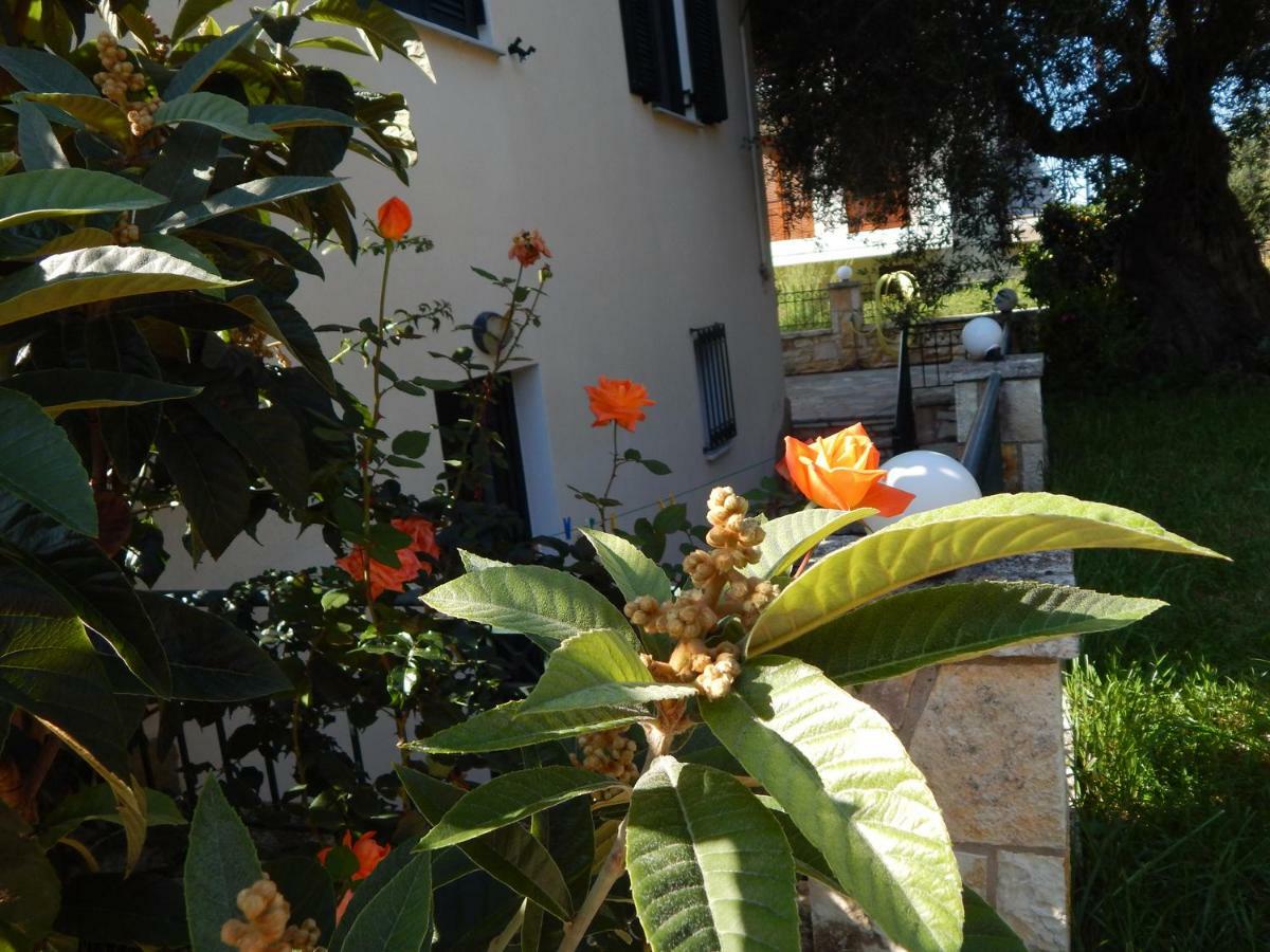 Villa Dimitra Sívota Exterior foto